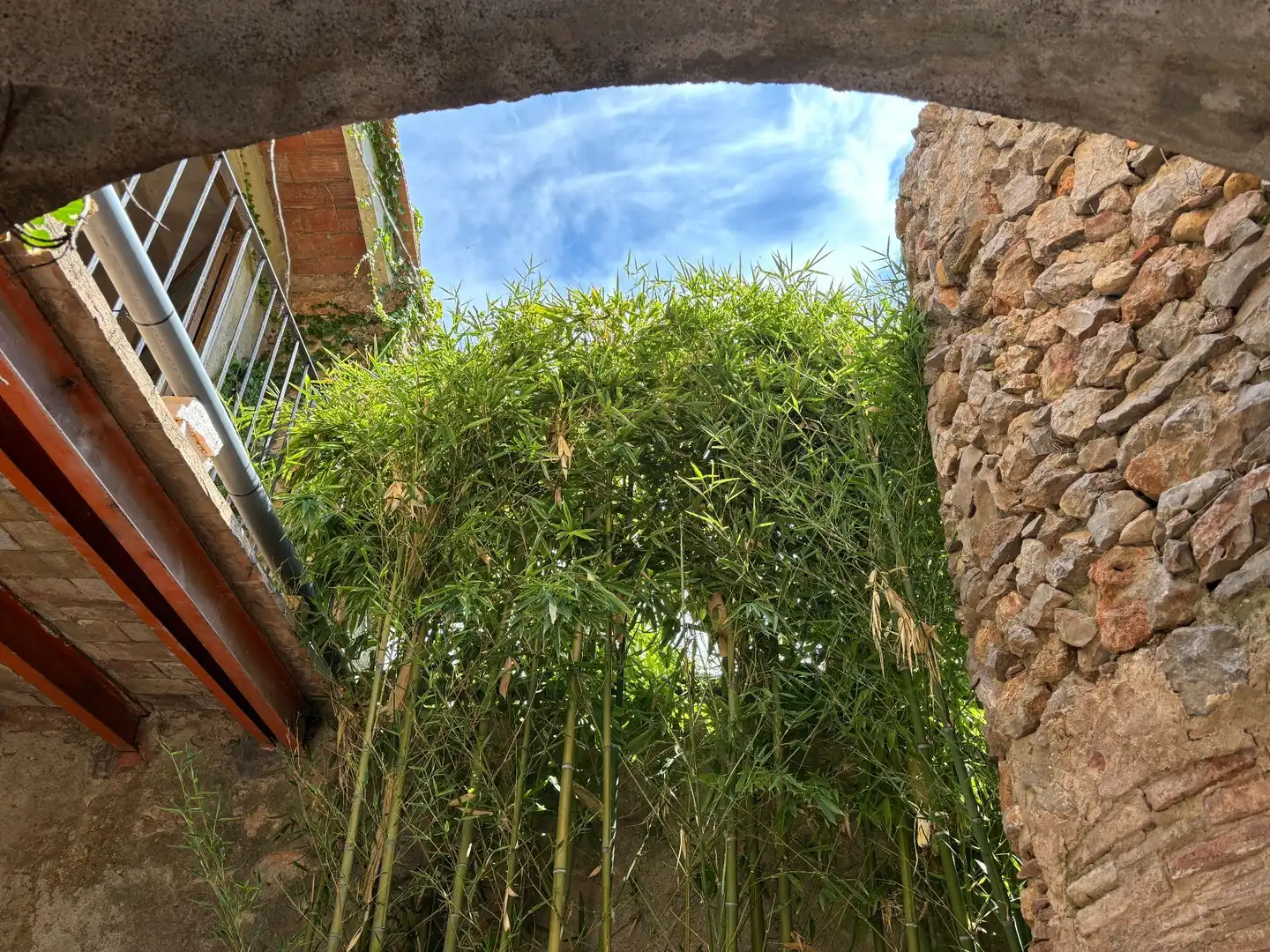 Jardí de Finca rústica en venda en Bellcaire d'Empordà amb Terrassa