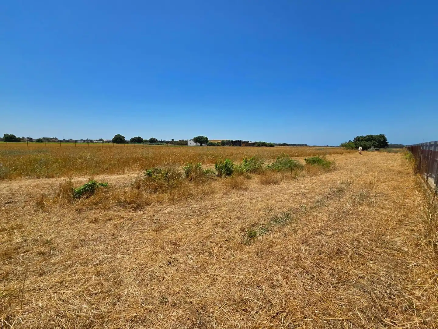 Terreno residenziale in vendita a Pelagatos - Pago del Humo, imagen 18