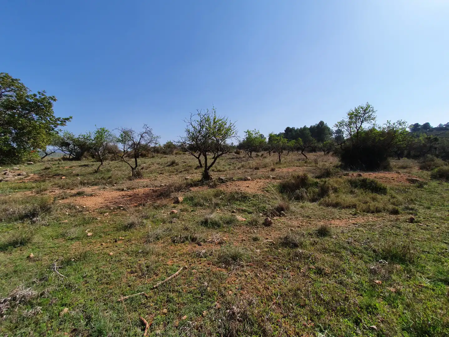 Terreno rustico in vendita a Segorbe, imagen 35