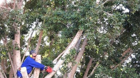 Photo 4 of House or chalet for sale in Pont Nou - Corazón de Jesús, Alicante