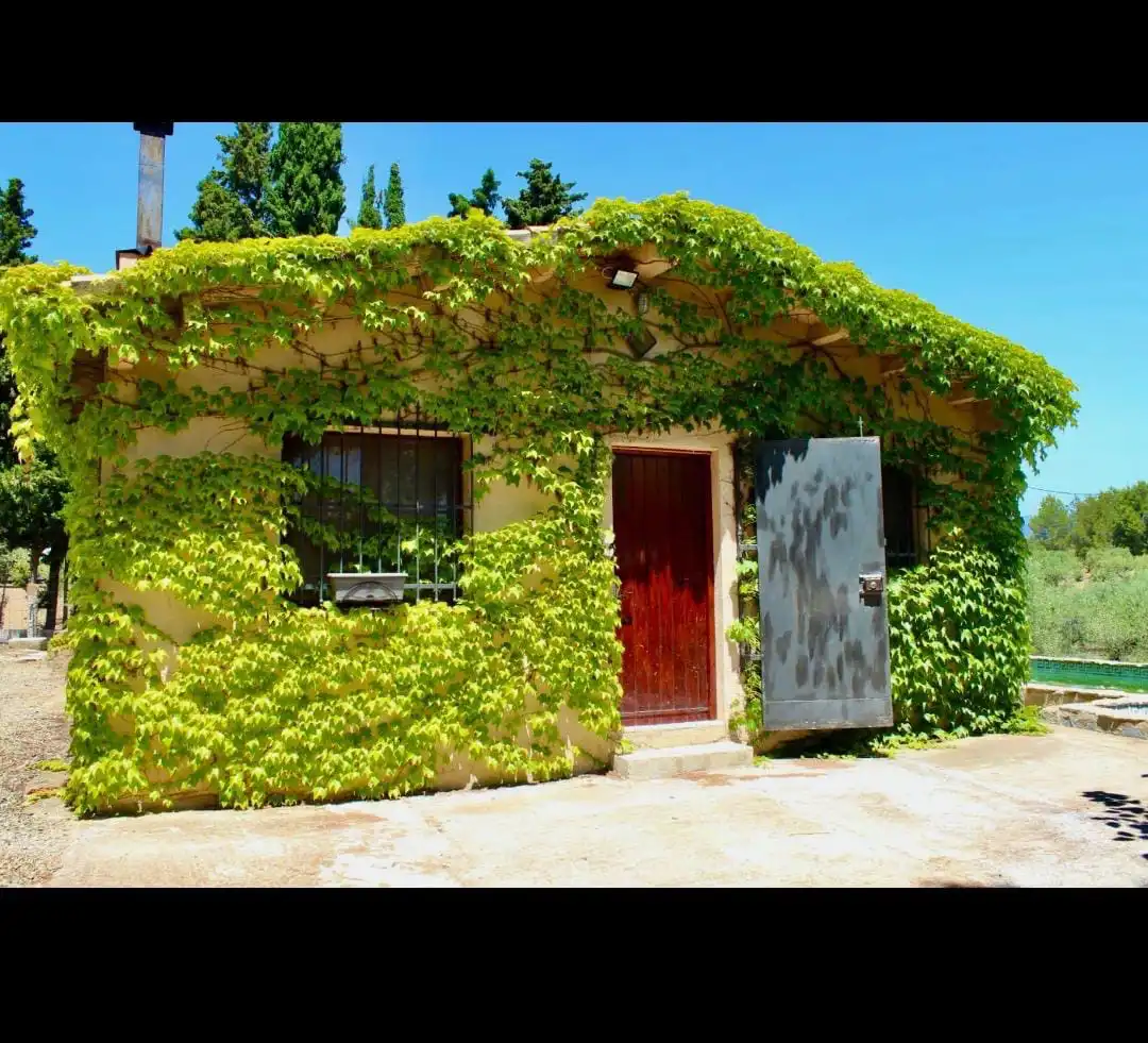 Exterior view of Land for sale in Botarell