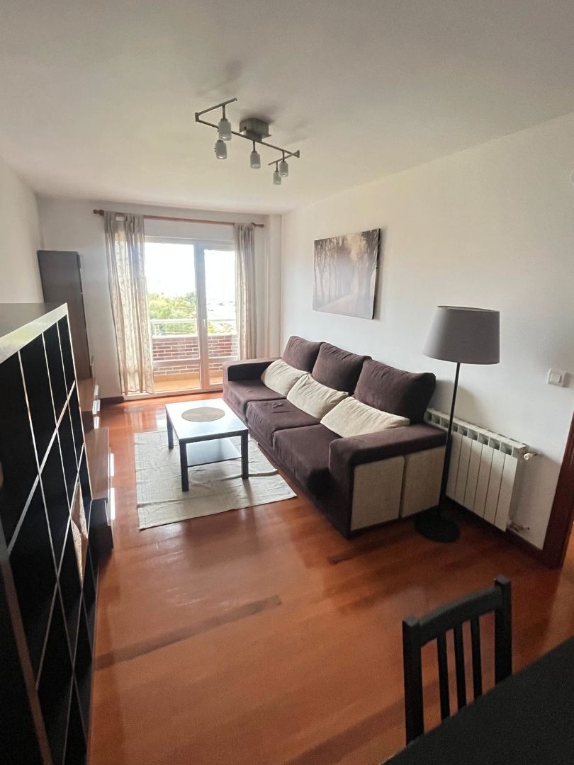 Living room of Flat to rent in Camargo  with Heating, Parquet flooring and Terrace