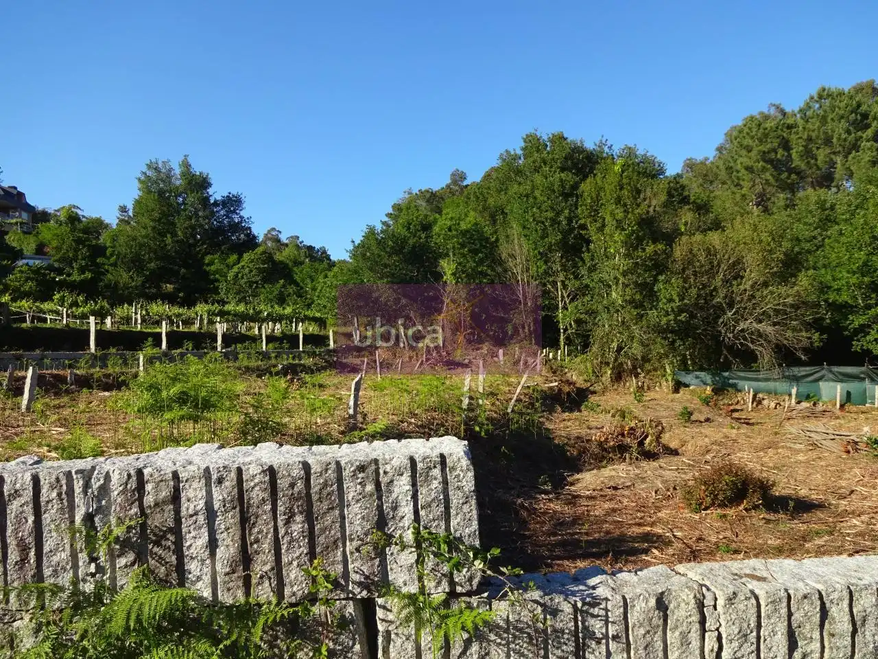 Lands and plots for sale in Salceda de Caselas, imagen 6