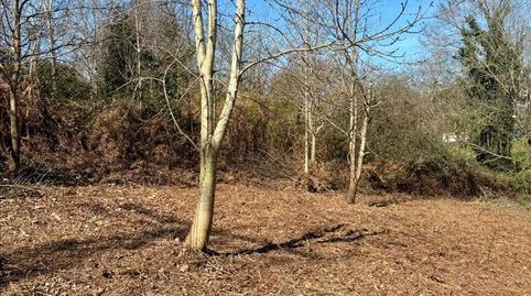 Foto 4 von Fabrik Grundstücke zum Verkauf in Iturriane, Santa María de Getxo, Getxo