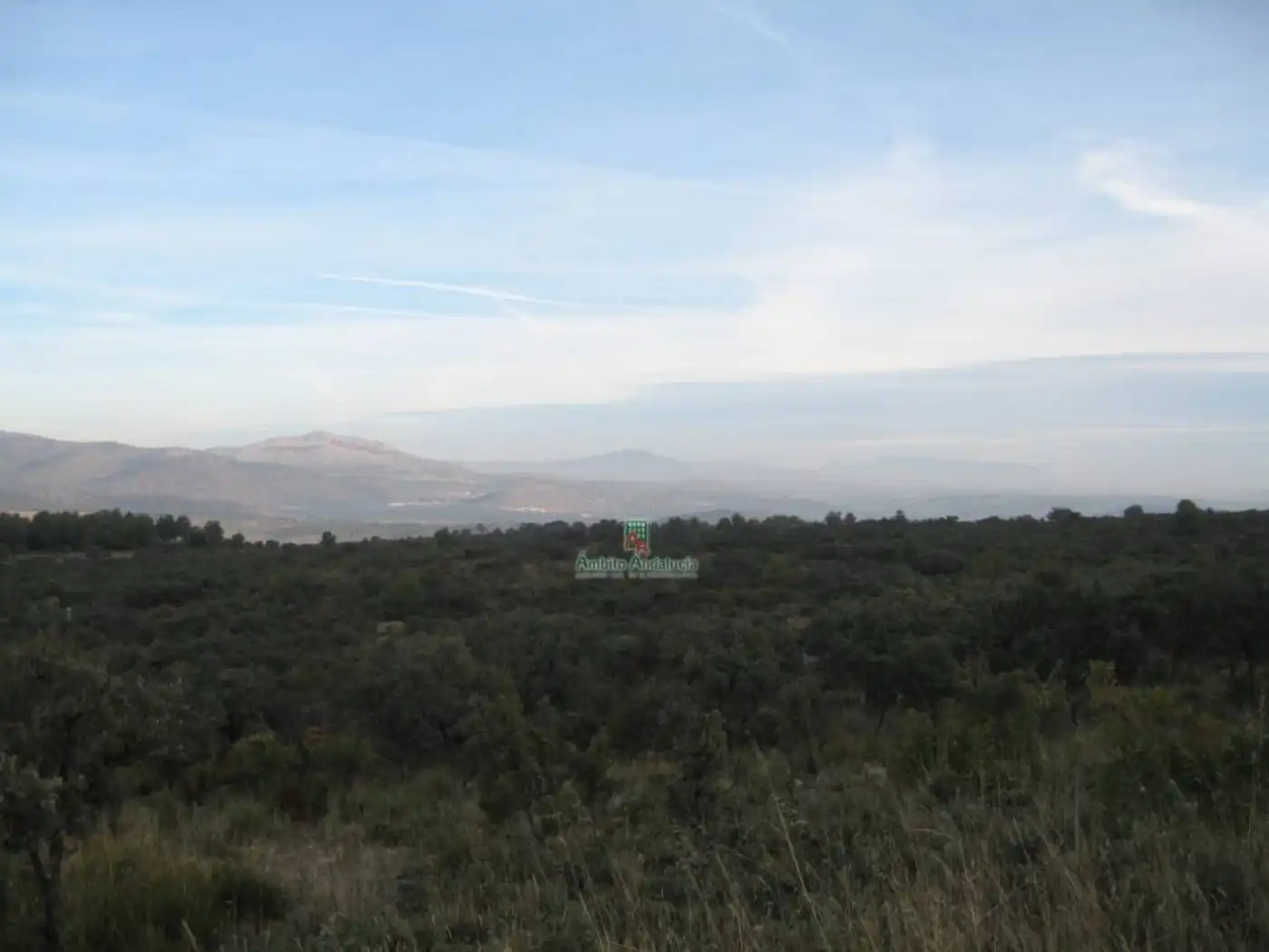 Rural land for sale in Iznalloz, imagen 3