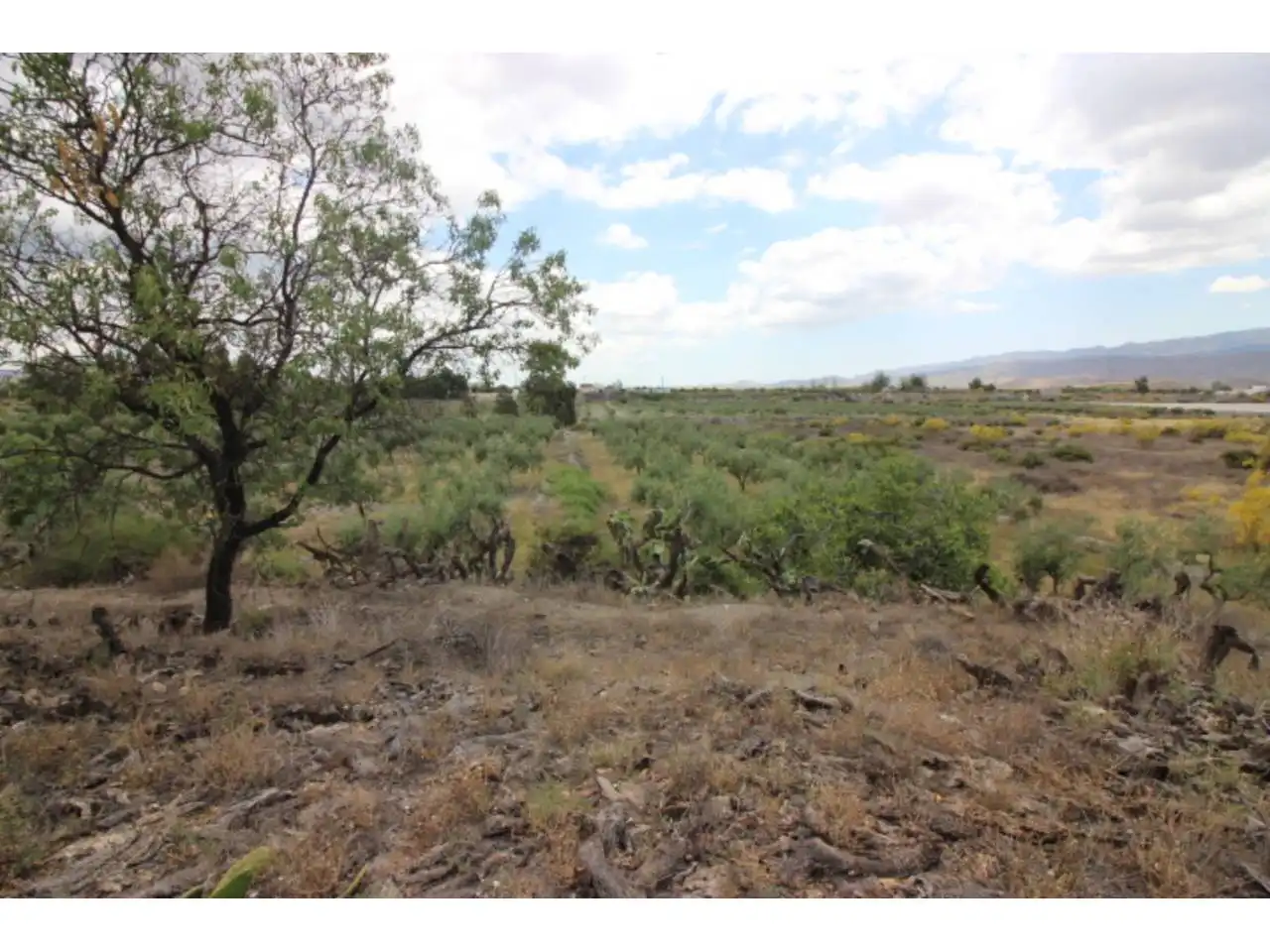 Country house for sale in Tabernas, imagen 49