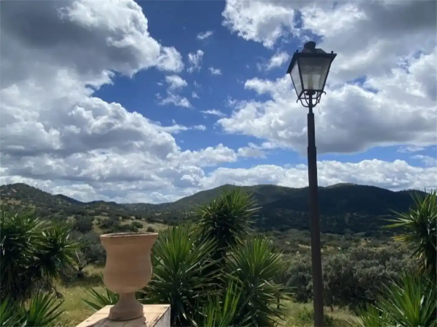 Exterior view of Land for sale in Hornachuelos