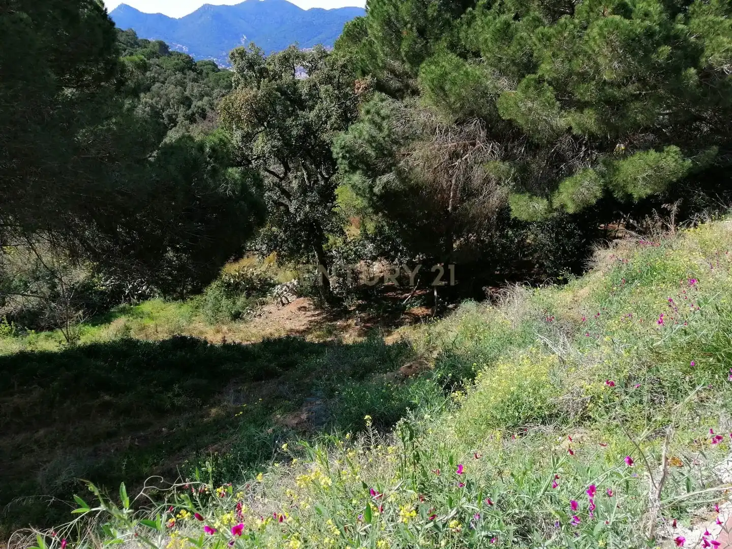 Residencial en venta en Argentona