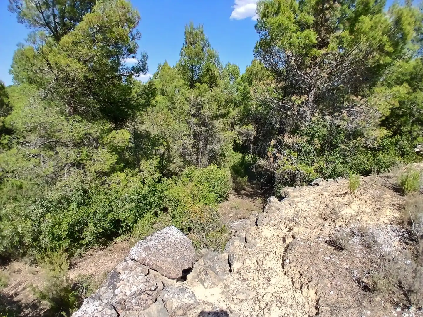 Terreni e lotti in vendita a Mazaleón, imagen 9