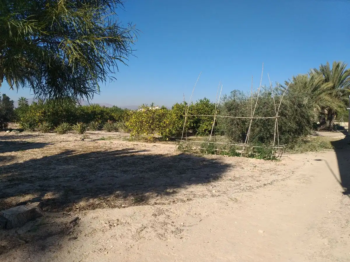 Casa o xalet en venda en Elche / Elx