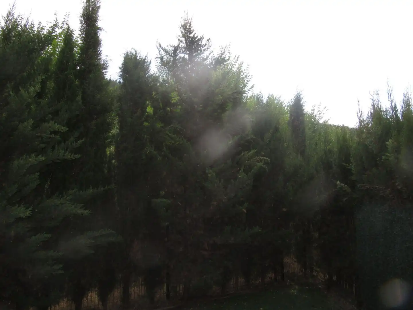 Garden of Houses for sale in Castiello de Jaca  with Heating, Private garden and Storage room