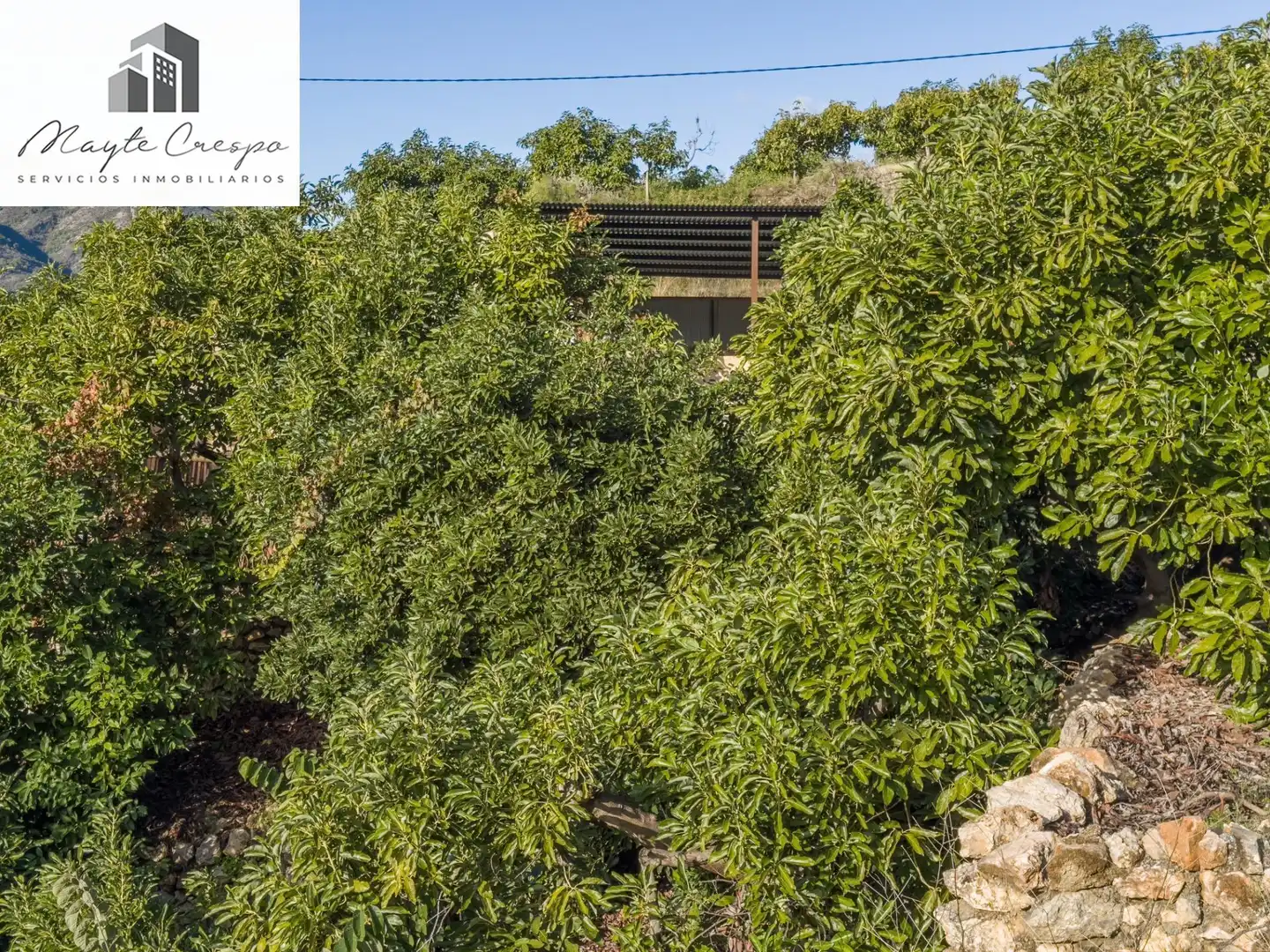 Casa rústica en venta en Calle Diseminados, Pol-8 Par-359, imagen 29