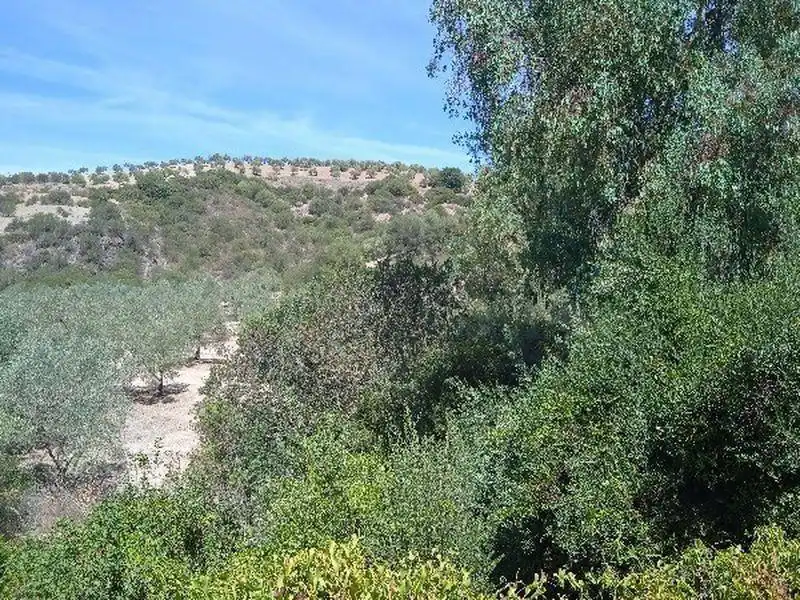 Casa rústica en venda a Morón de la Frontera, imagen 9