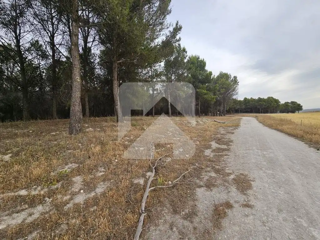 Grundstücke zum Verkauf in Valdemoro