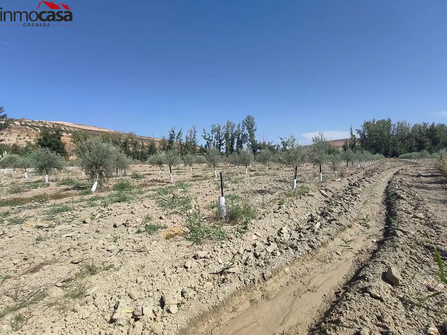 Rural land for sale in Santa Cruz del Comercio, imagen 4