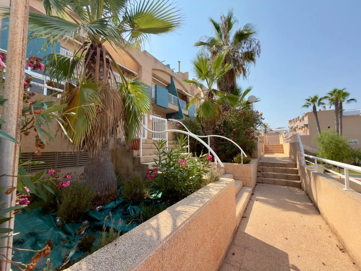 Vista exterior de Casa o chalet en venta en Torrevieja con Jardín privado, Amueblado y Piscina comunitaria