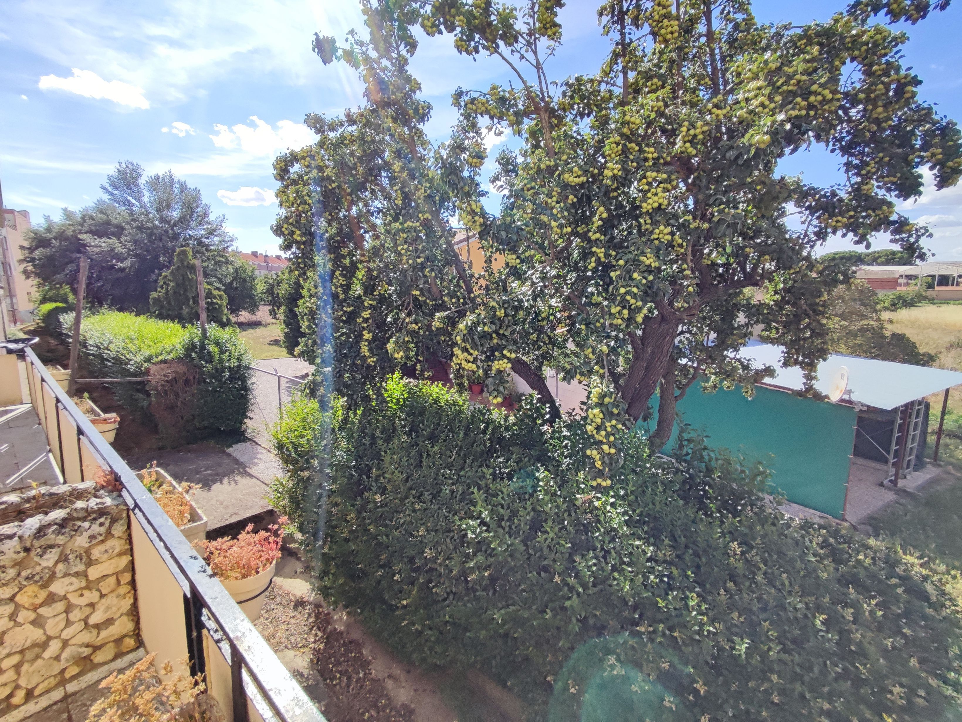 Jardí de Casa o xalet en venda en Palencia Capital amb Calefacció, Terrassa i Traster