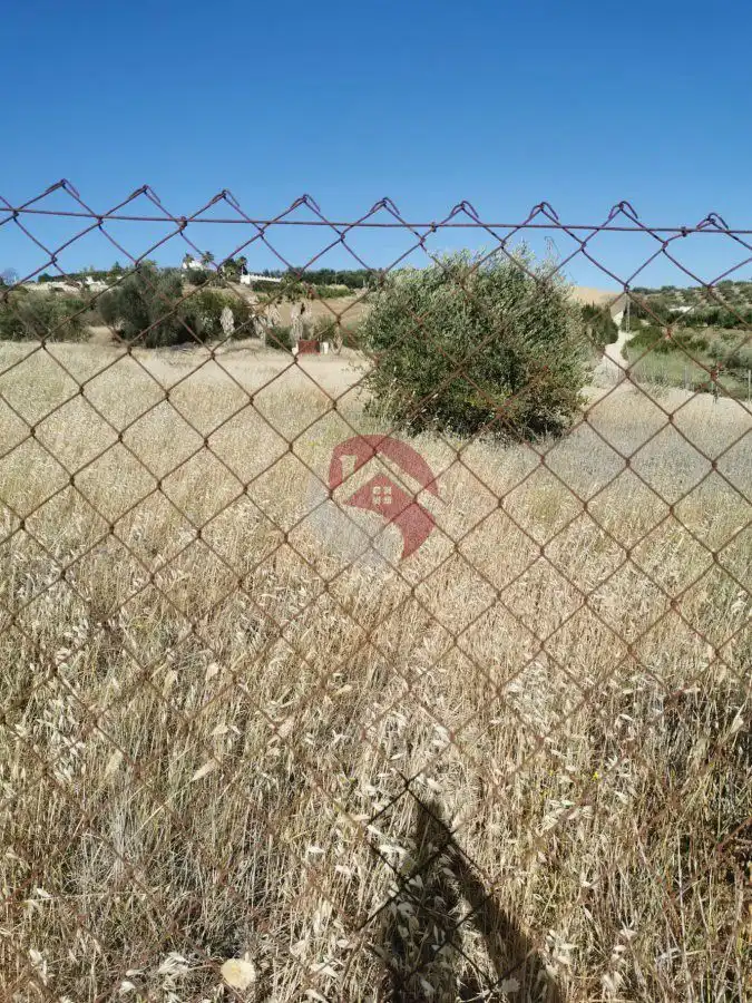 Terreni e lotti in vendita a Centro, imagen 8