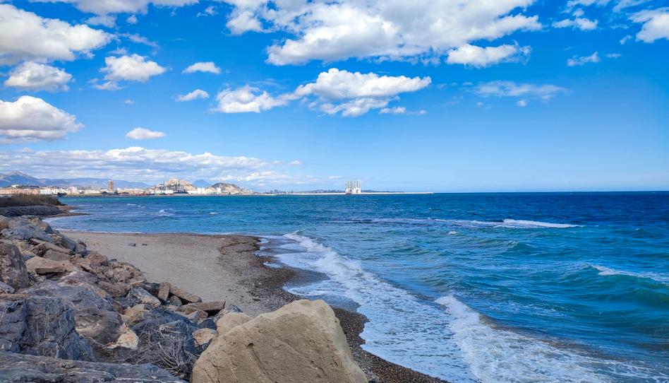 Foto 1 de Pis de lloguer a Palmeral, Alicante