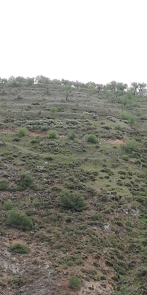 Finca rústica en venda en Dúrcal