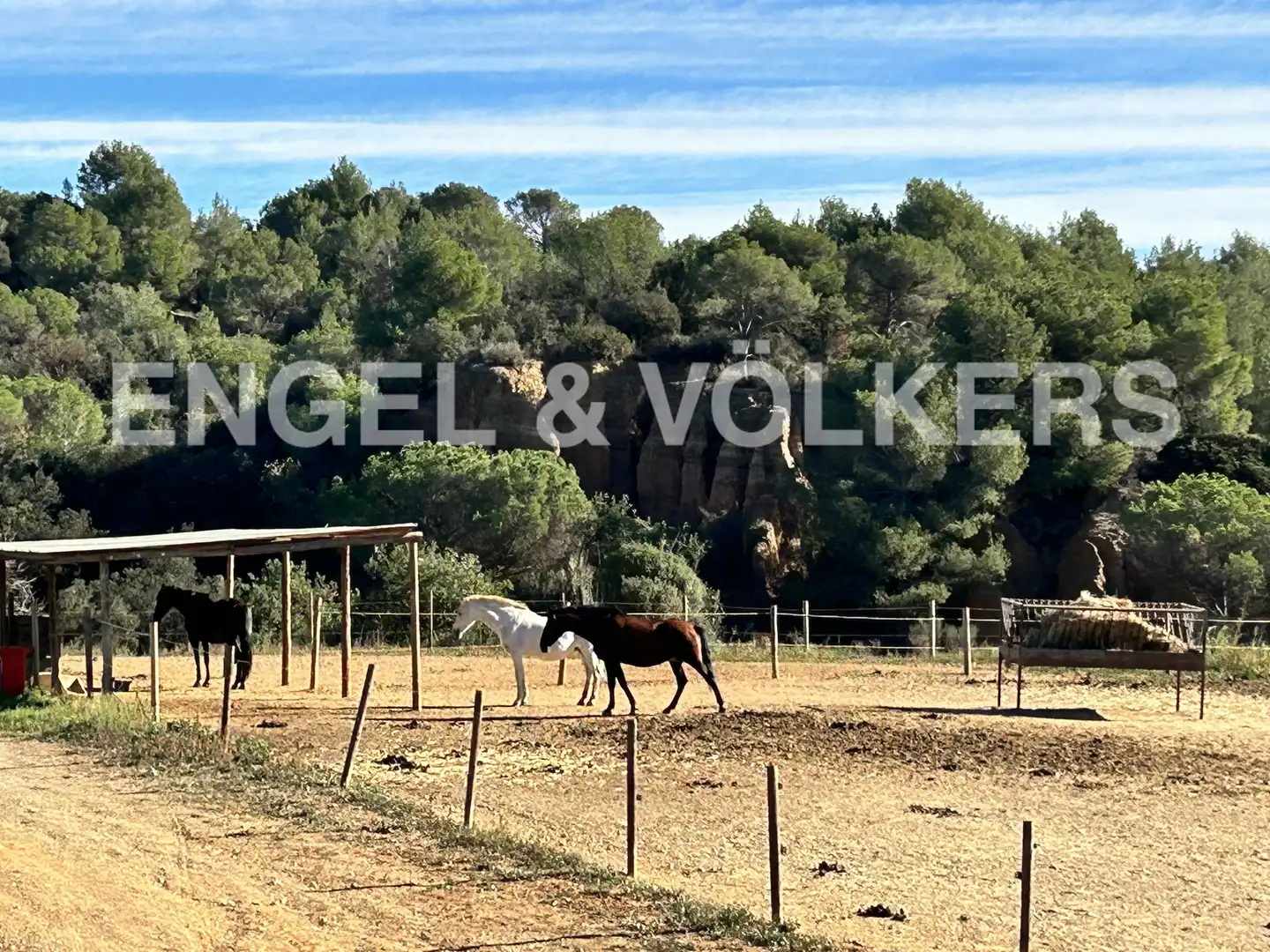 Mixte résidentiel à vendre à Piera, imagen 36