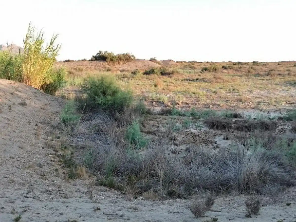 Terreno rustico in vendita a Camino LOS HUERTOS, imagen 64