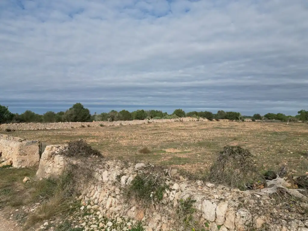 Terreno rustico in vendita a Llucmajor pueblo, imagen 17