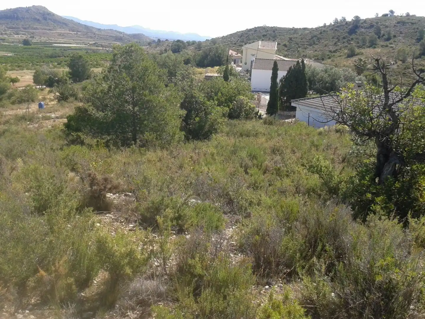 Terreny en venda en Benaguasil