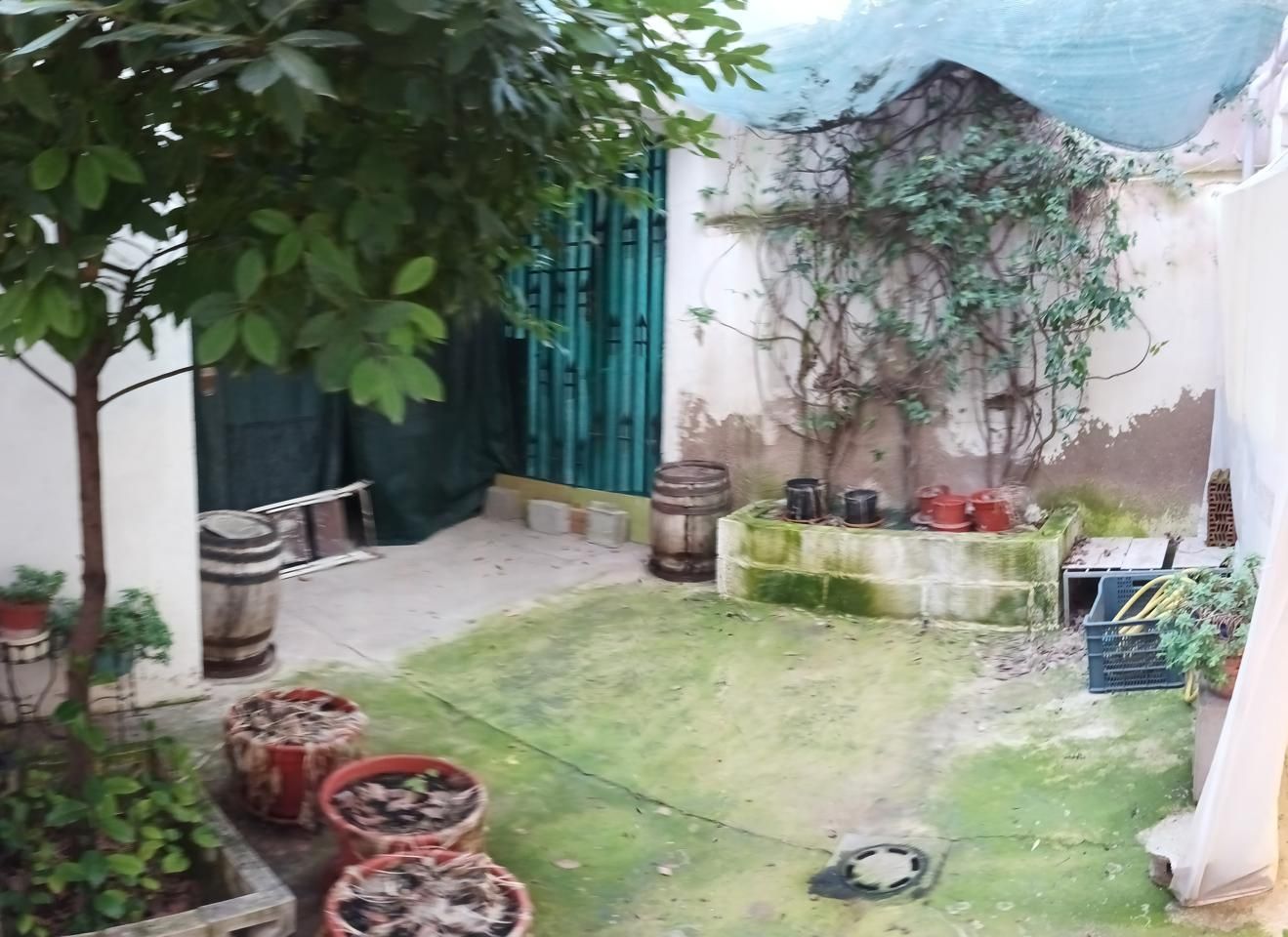 Jardí de Casa o xalet en venda en Belmonte de Gracián amb Jardí privat i Terrassa