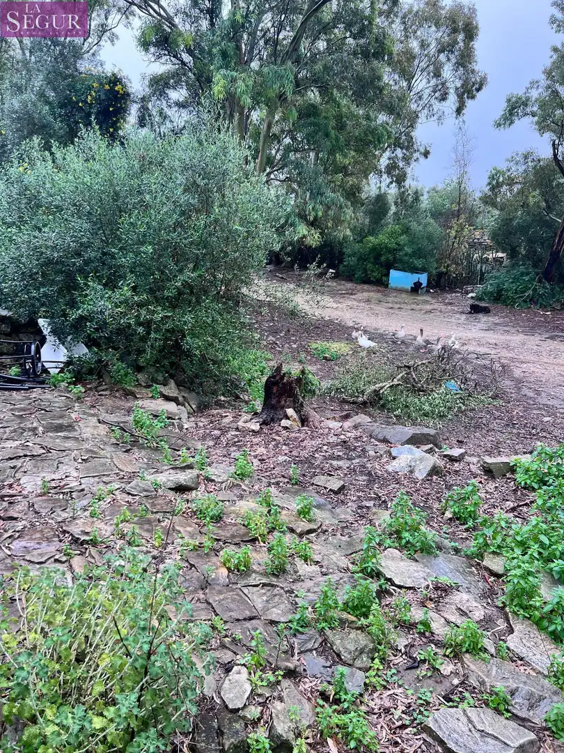 Finca rústica en venda en Vejer de la Frontera amb Jardí privat
