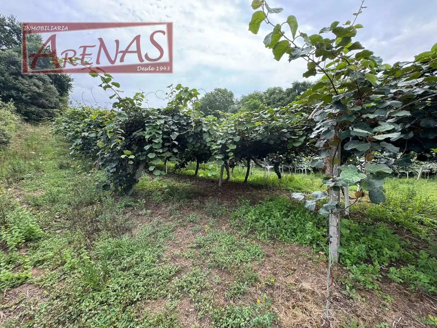 Land for sale in Marina de Cudeyo