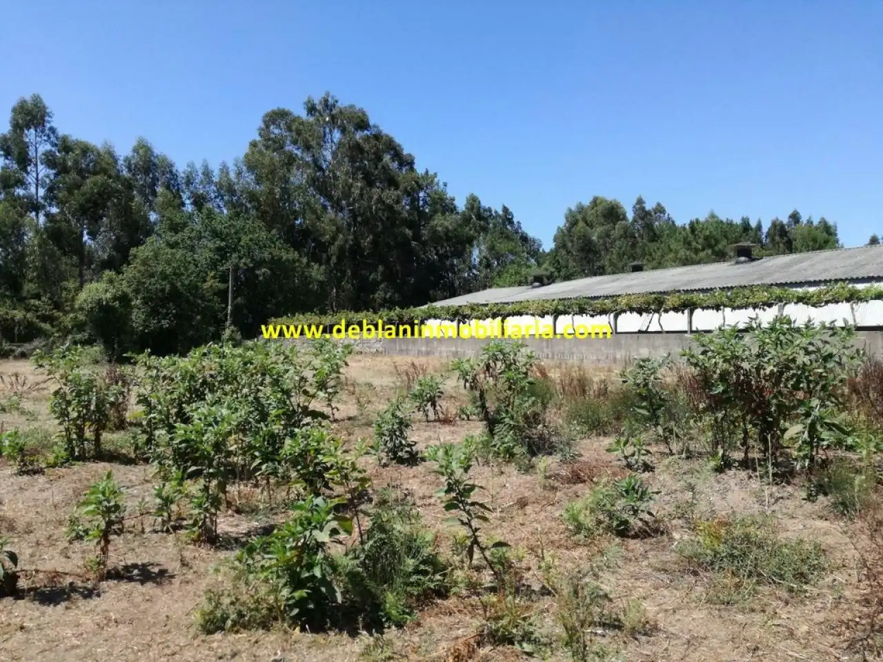 Terreno rustico in vendita a Tomiño, imagen 11