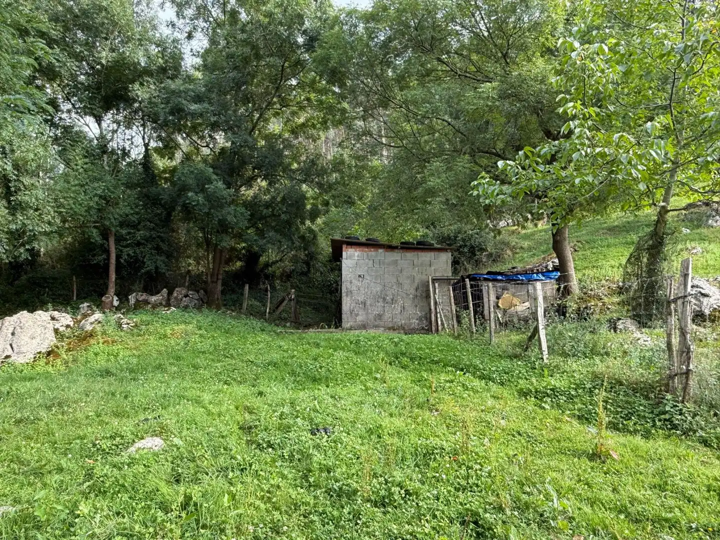 House for sale in Perujo, imagen 54