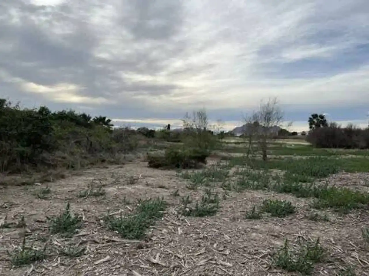 Terreno residenziale in vendita a Almoradí, imagen 7