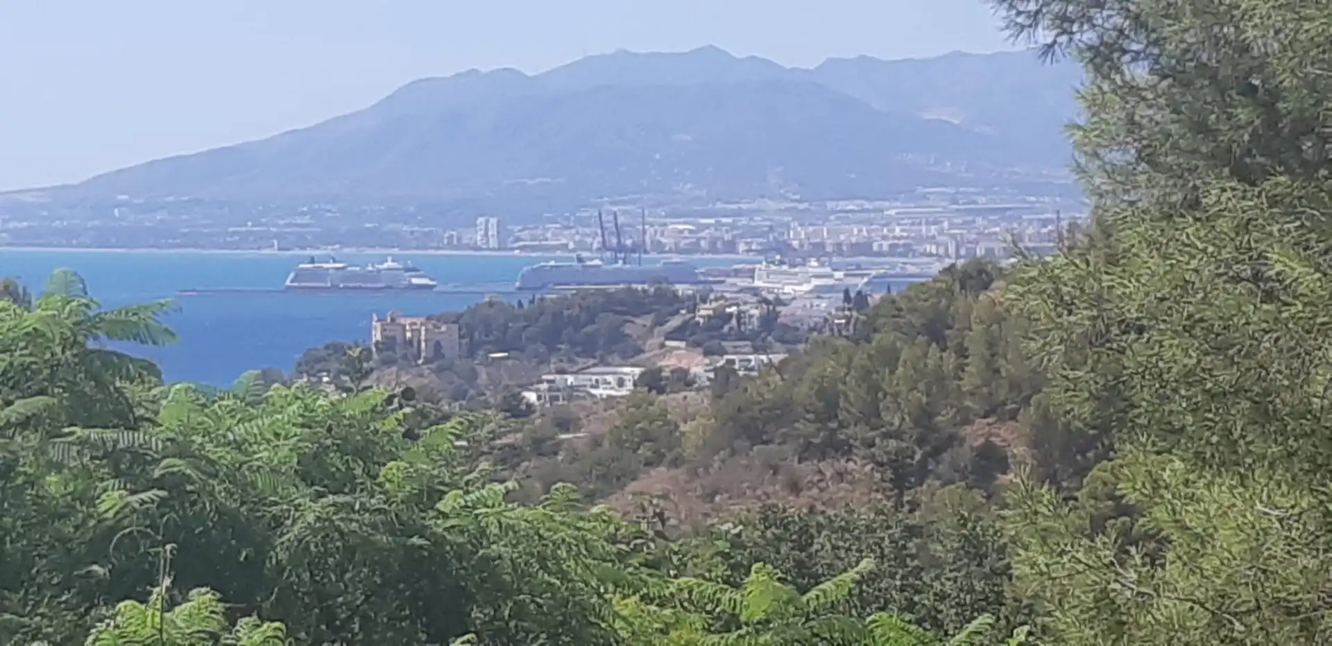 Vista exterior de Casa o chalet en venta en Málaga con Jardín privado, Terraza y Piscina