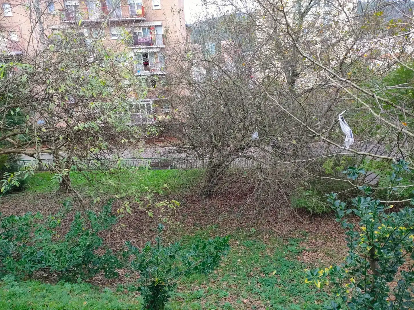 Casa o chalet en venta en Donostia - San Sebastián  con Jardín privado y Terraza