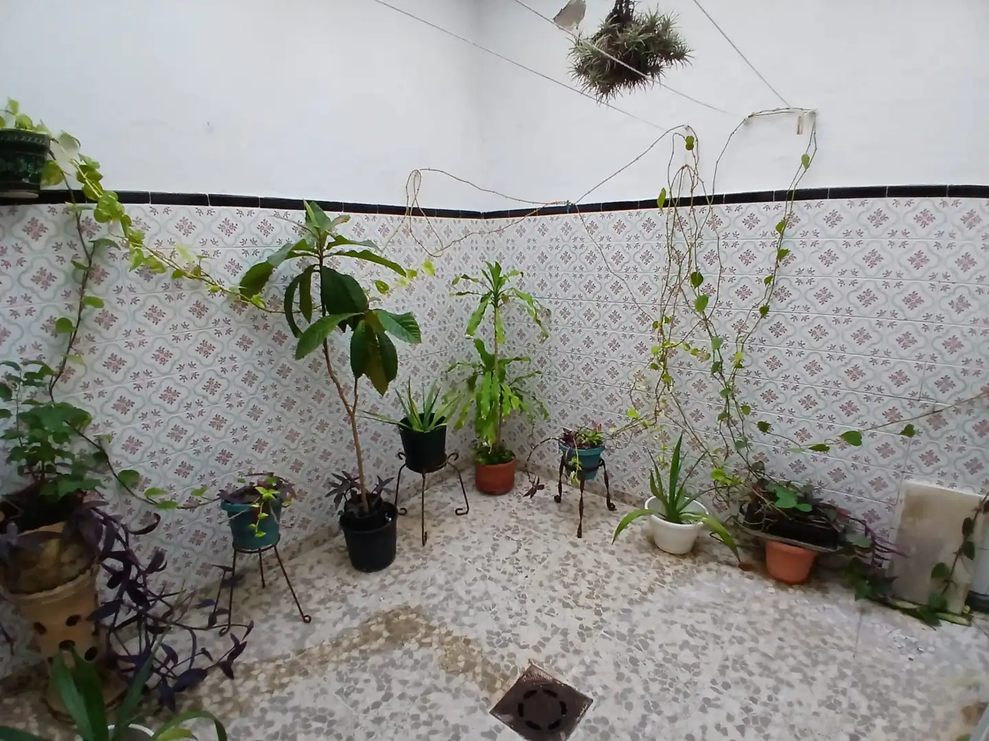 Maison avec terrasse à vendre à SANTO ENTIERRO, imagen 12