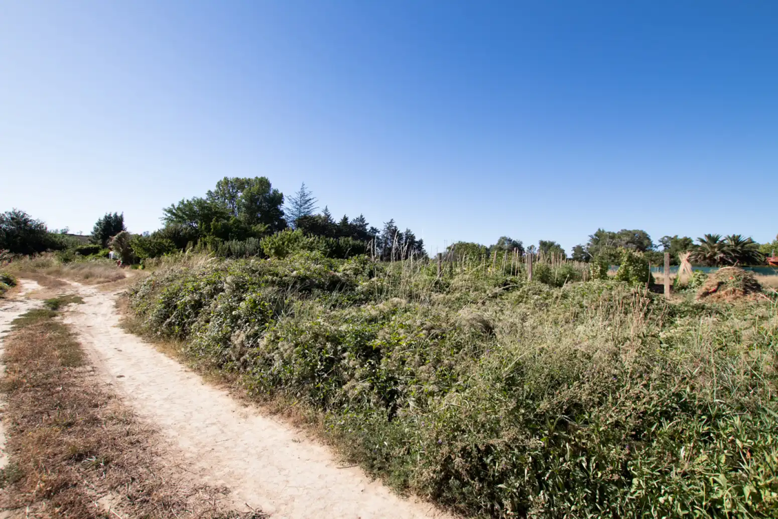 Land for sale in Tafalla - PARAJE MAKOTXA, Tafalla
