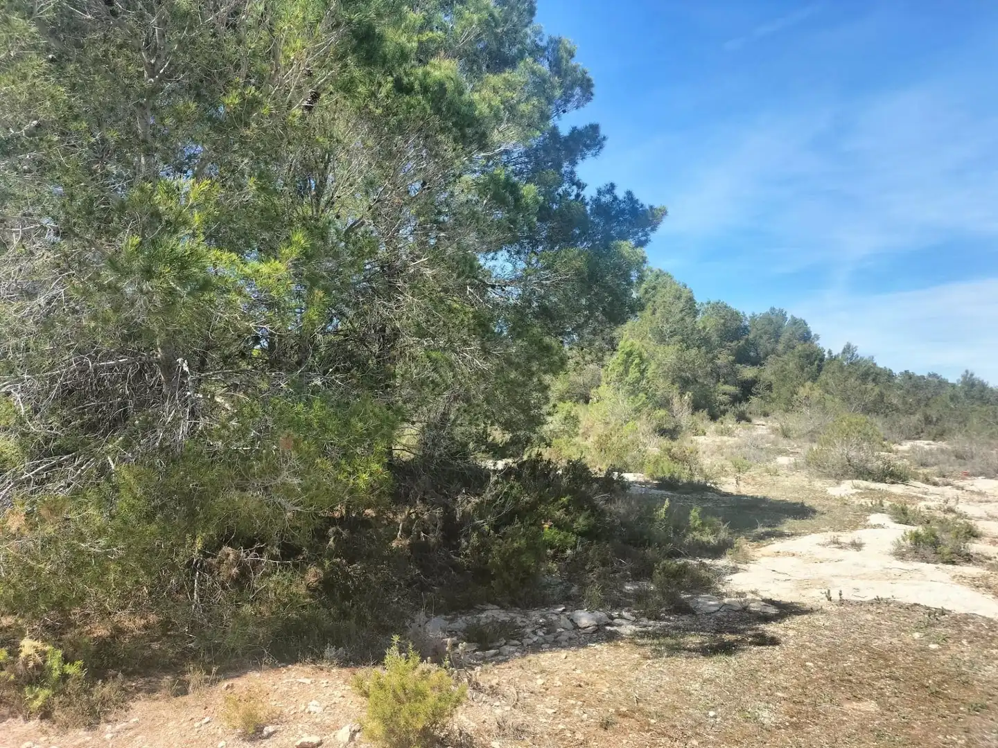 Terreno rustico in vendita a Navarrés, imagen 20