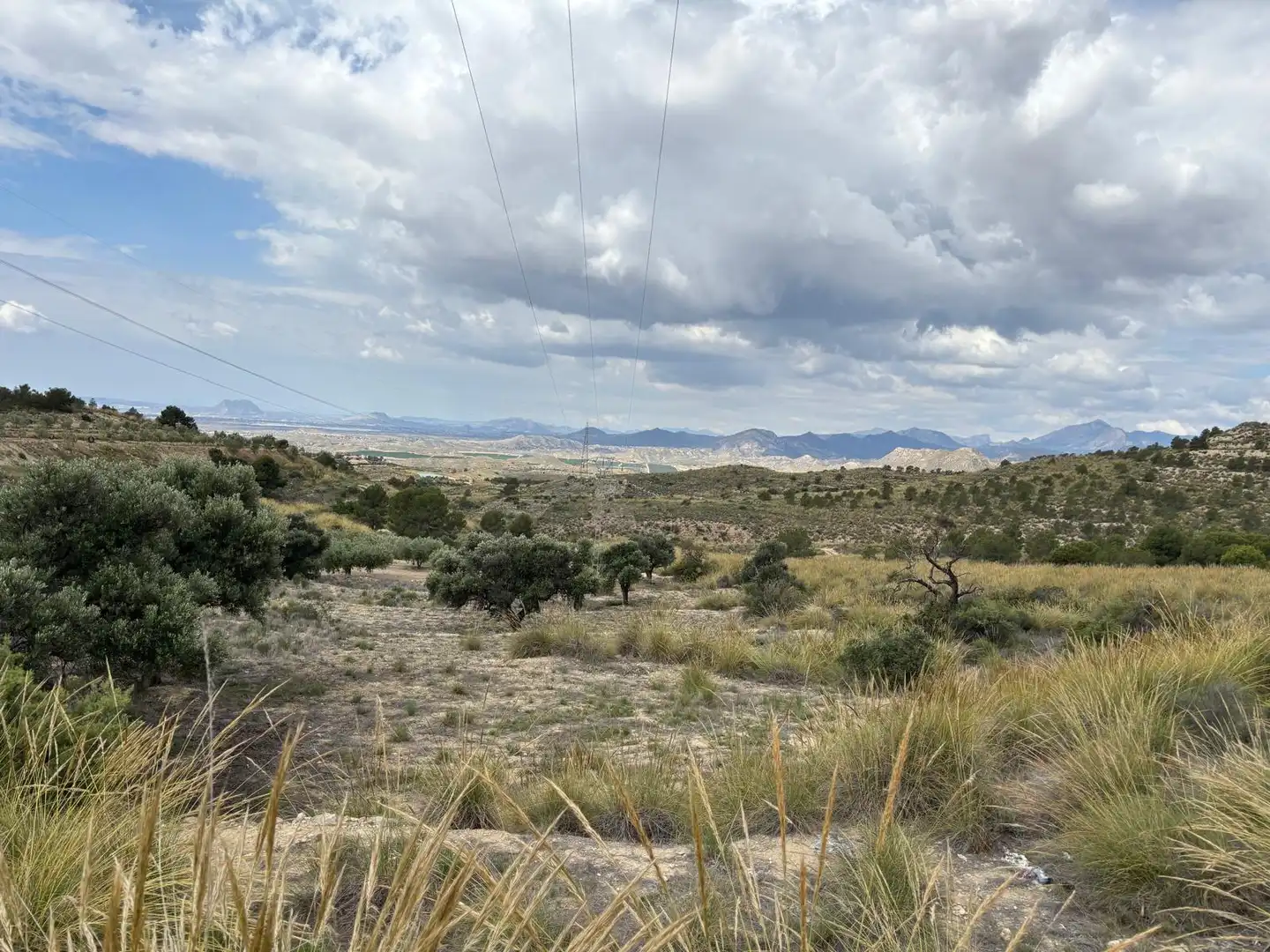 Terreny rústic en venda a Carrer del Calvari, imagen 6