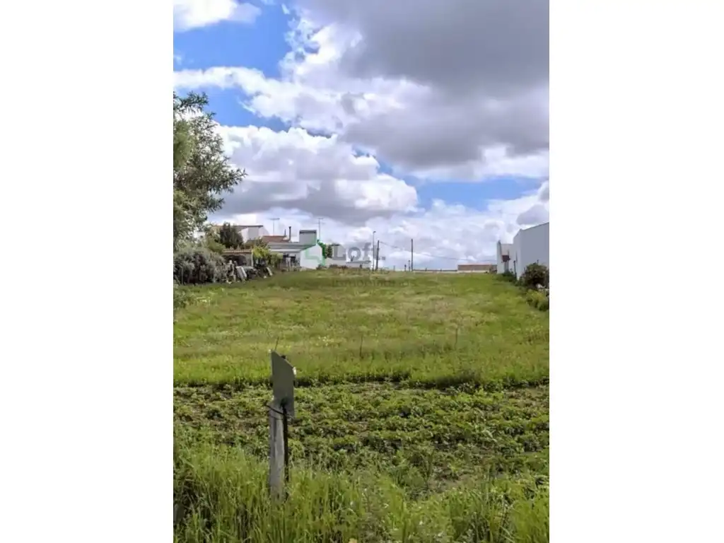Terreni e lotti in vendita a Olivenza