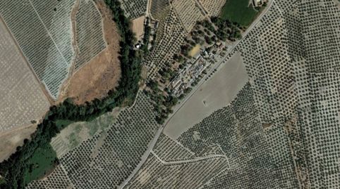 Foto 3 von Grundstücke zum Verkauf in C/ Vega, Santo Tomé, Jaén