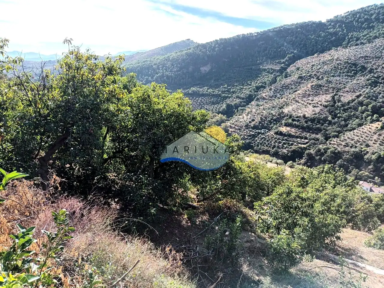Country house for sale in Camino de las Herrerías, imagen 18