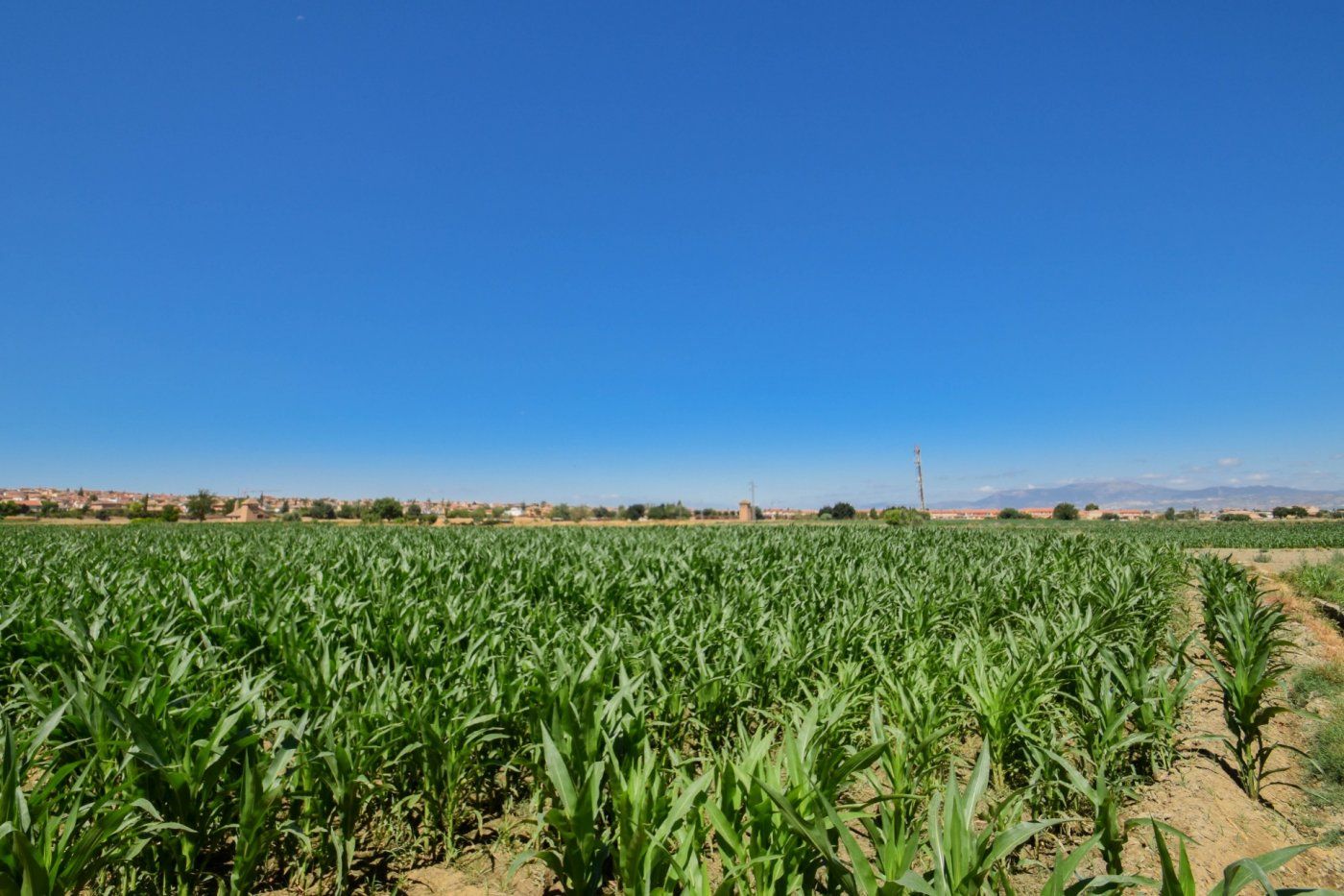 Country house for sale in Cúllar Vega