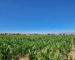 Finca rústica en venda en Cúllar Vega