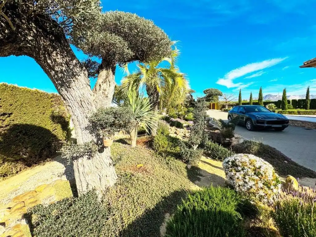 Jardí de Casa o xalet en venda en Orihuela amb Aire condicionat, Jardí privat i Traster