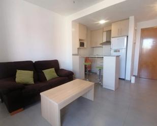 Living room of Apartment to rent in  Murcia Capital  with Furnished and Washing machine