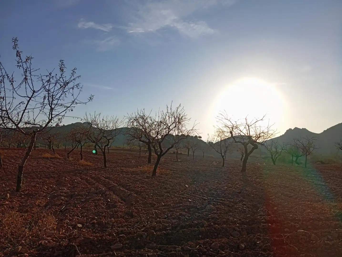 Houses for sale in Bejar