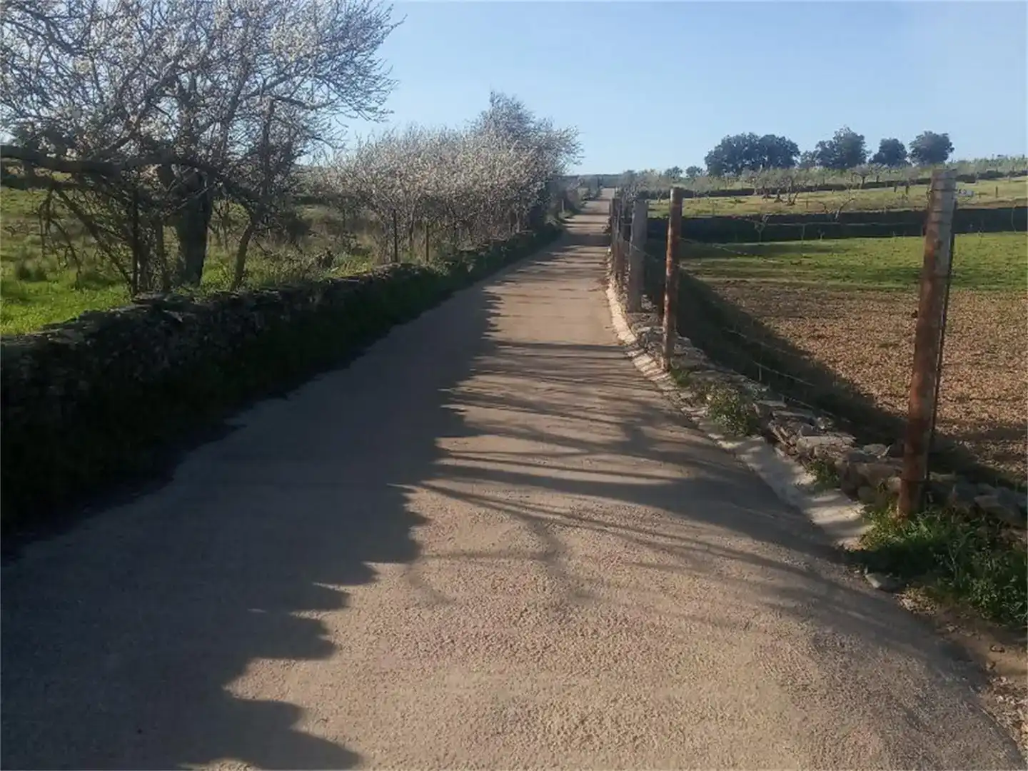 Vista exterior de Casa o chalet en venta en Mirabel, Cáceres