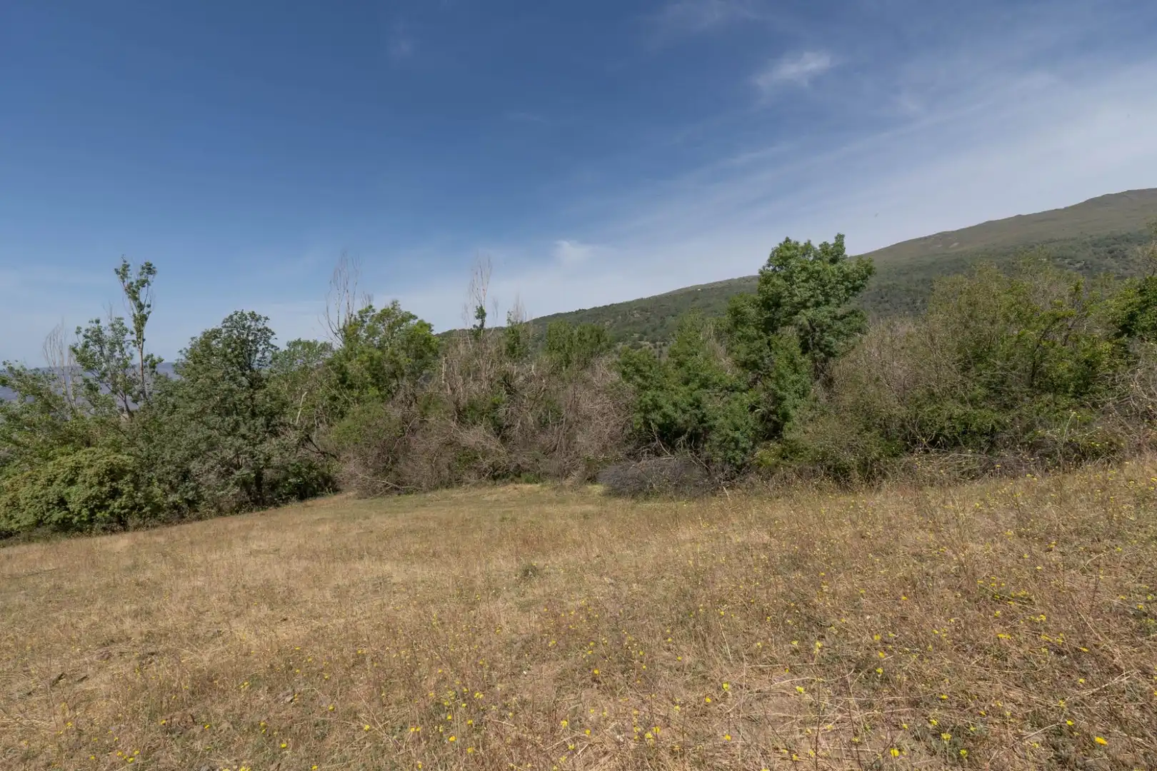 Terreno en venta en Soportújar